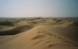 desert that looks like dry skin