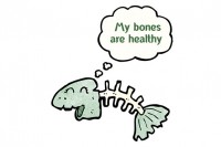 fish with healthy bones