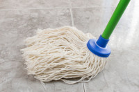 mop as clean toxins