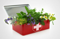 herbs in first aid kit