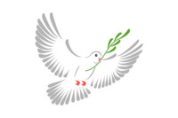 a dove with a olive leaf as symbol of peace