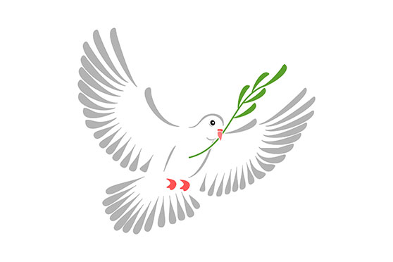 a dove with a olive leaf as symbol of peace